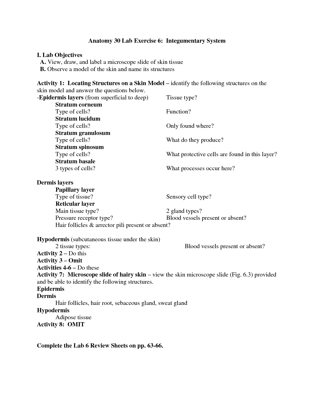 Integumentary System Worksheet Answers
