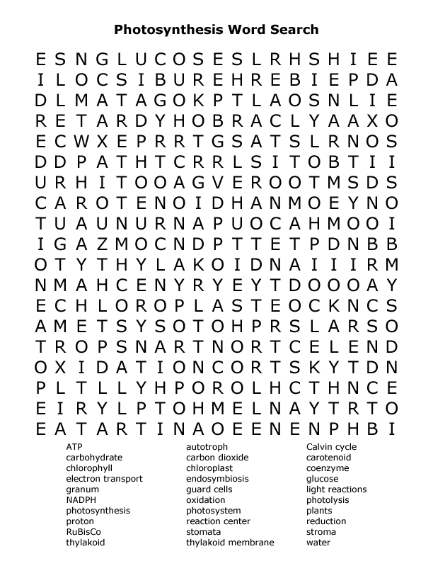 printable-word-search-science