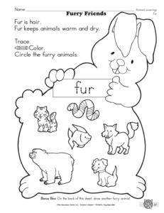 10 Best Images of Classifying Objects Worksheet Kindergarten