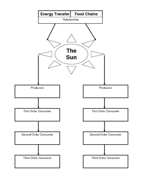 10 Best Images of Potential Kinetic Energy Worksheet ...