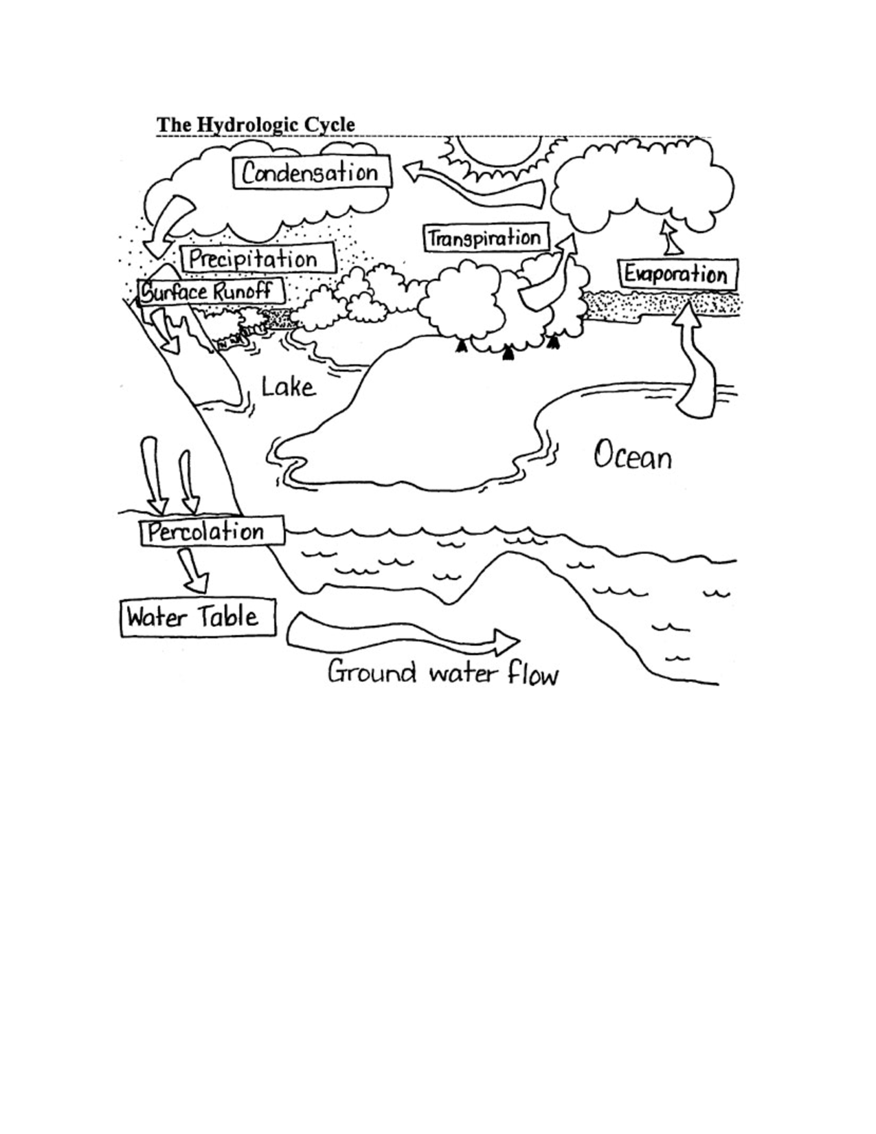 9 Best Images of Water Cycle Worksheets - Words Worksheets, Blank Water
