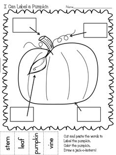 Pumpkin Labeling Worksheet