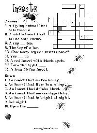 Insect Crossword Puzzle for Kids
