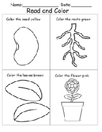 Plant Coloring Worksheets for Kindergarten