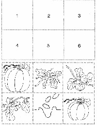 Pumpkin Life Cycle Sequencing Printables