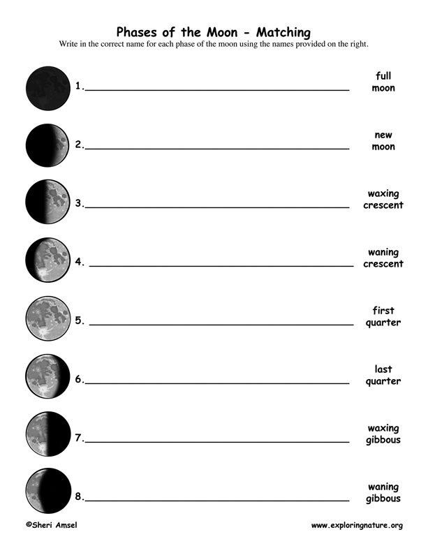 9-earth-science-moon-worksheet-science-worksheets-moon-phases-moon-phase-lessons