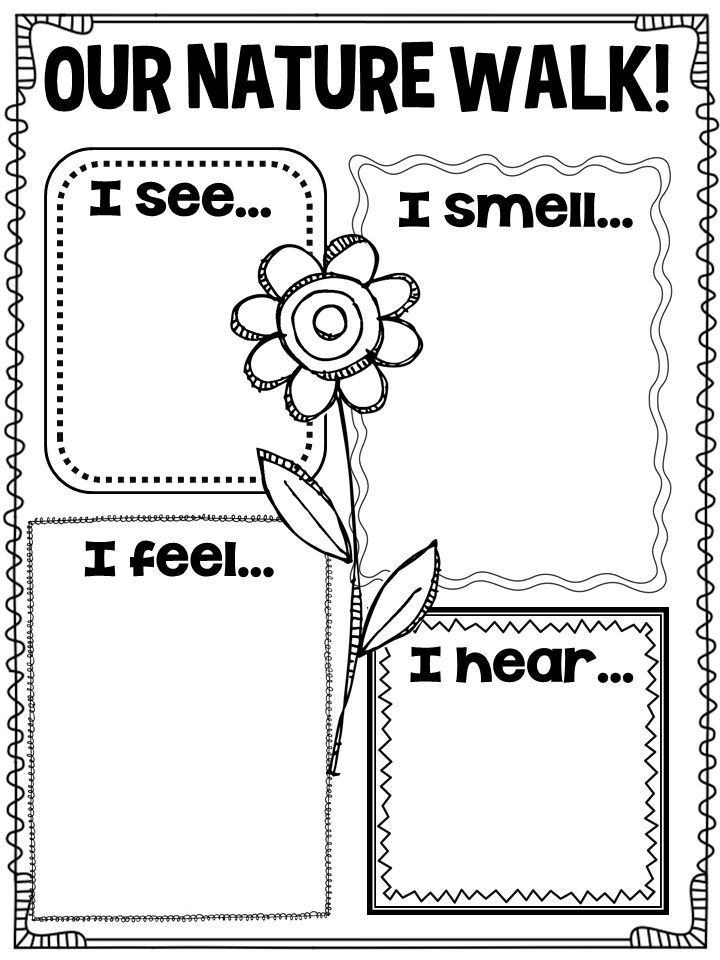 13 Best Images of Nature Worksheets For Kindergarten - Free Printable