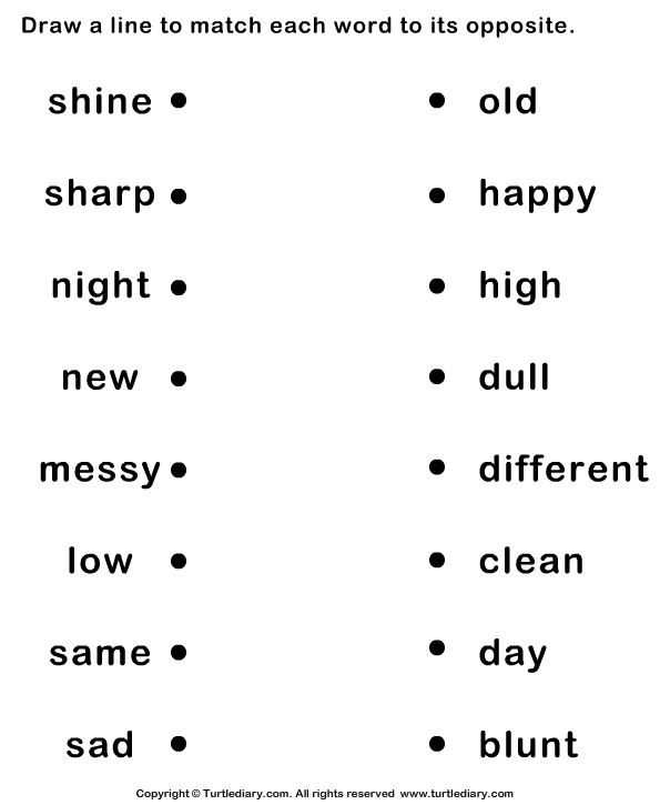 Kindergarten Adjective Worksheets