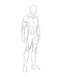 Male Figure Drawing Template