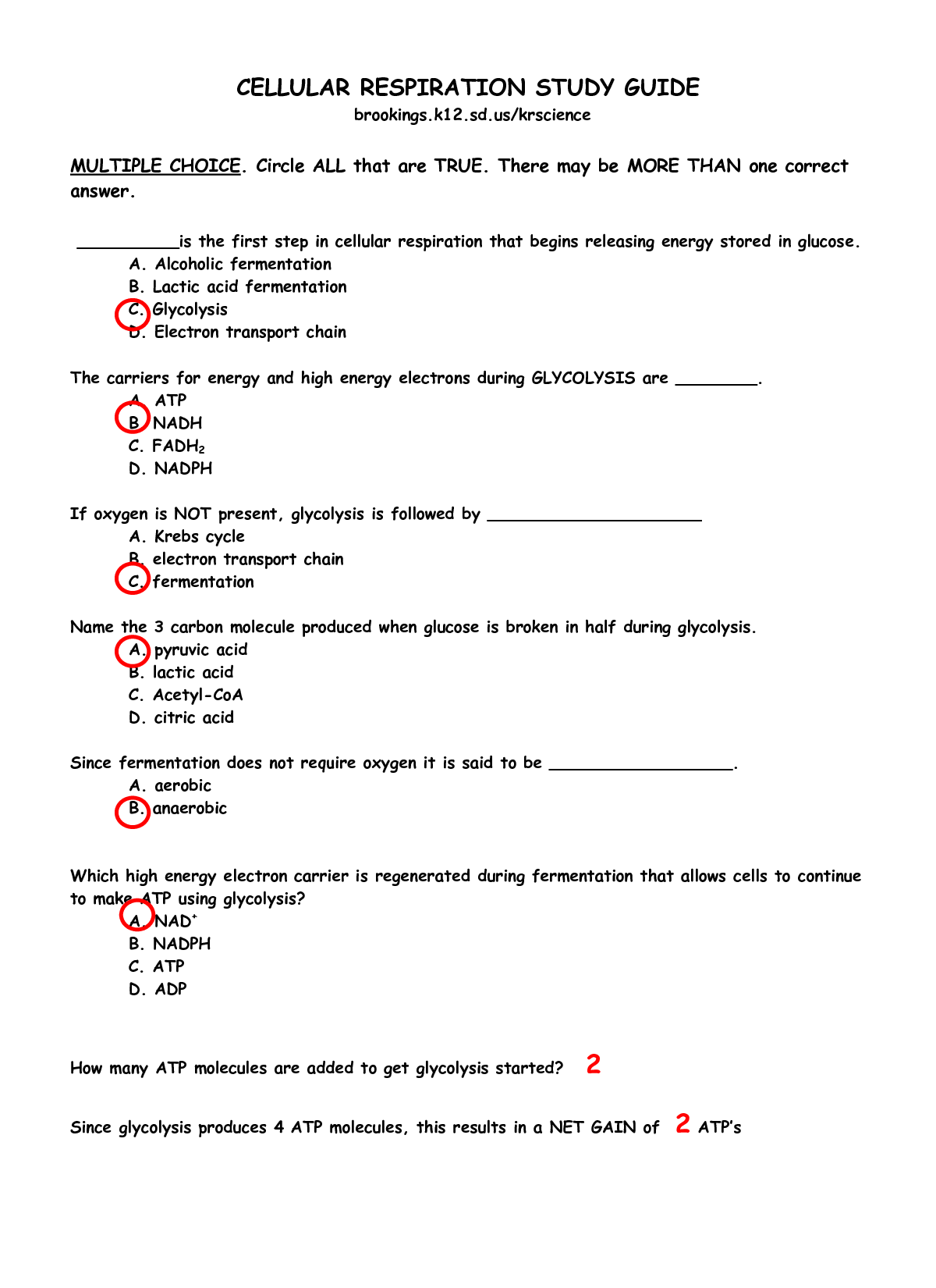 cellular-respiration-reading-and-worksheet