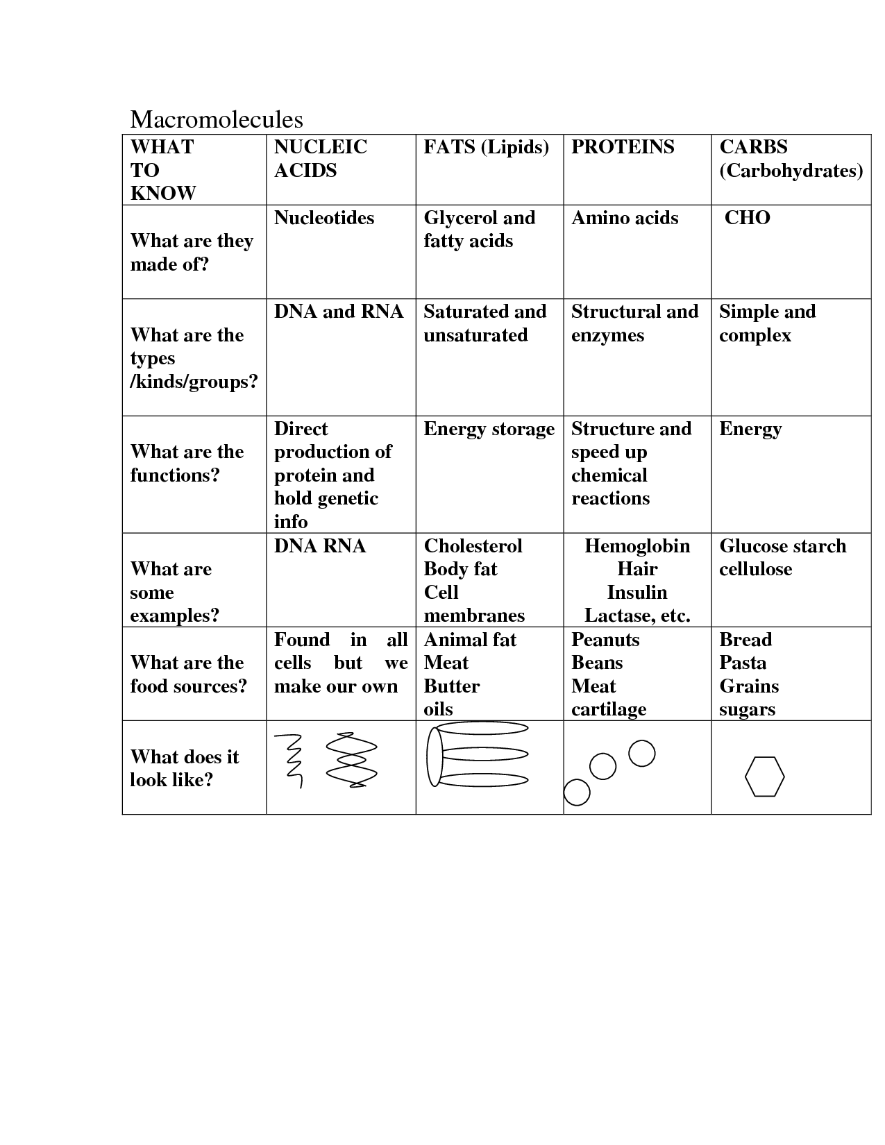 12 Best Images of Biology Macromolecules Worksheets - Macromolecules