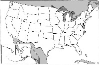 Blank US Maps United States