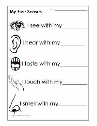 Five Senses Worksheets for Kindergarten