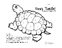 Turtle Color by Number Printables