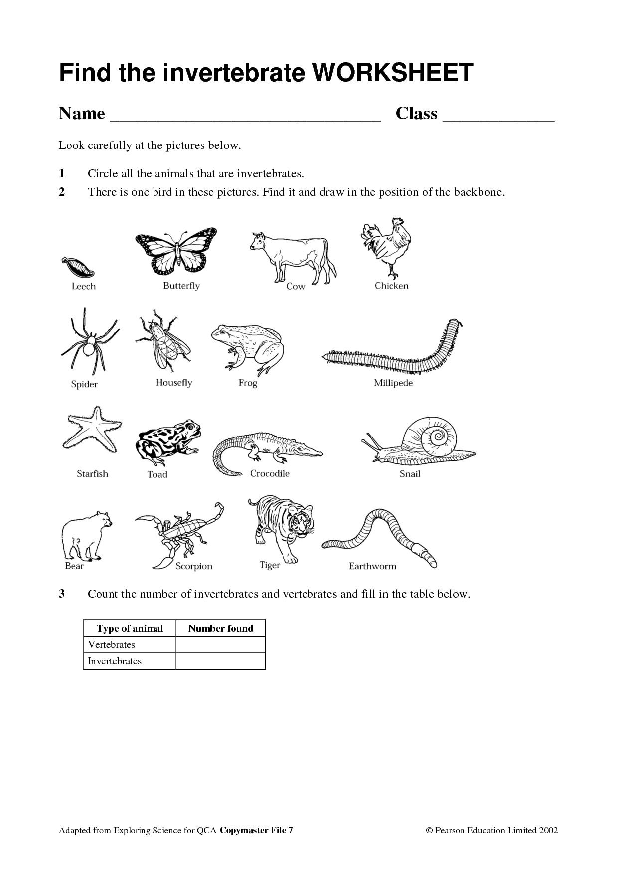 Vertebrates and Invertebrates Worksheets 