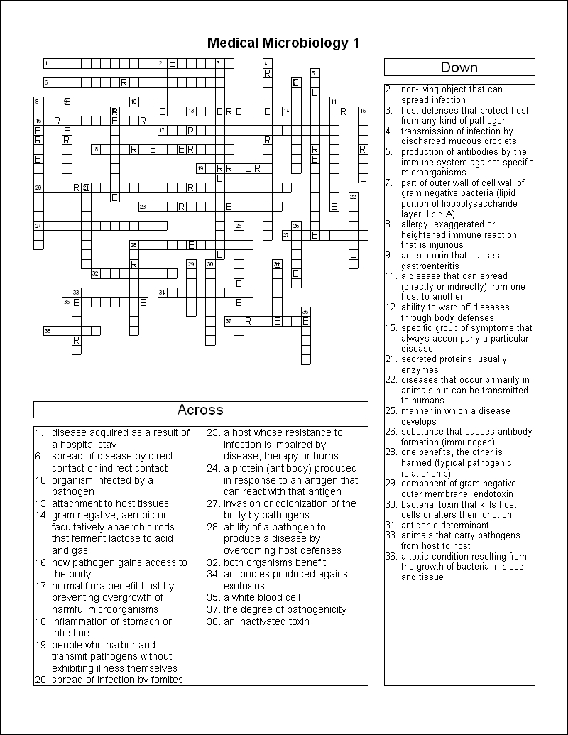 12 Best Images of Life Science Worksheet Answer - Cell Cycle Worksheet