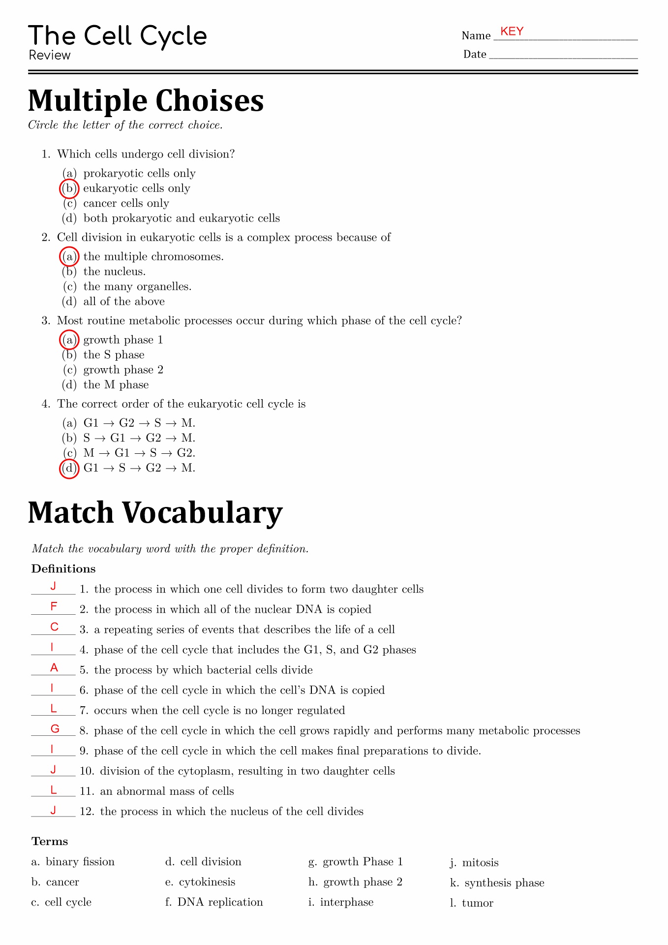 Cell Cycle And Mitosis Worksheet