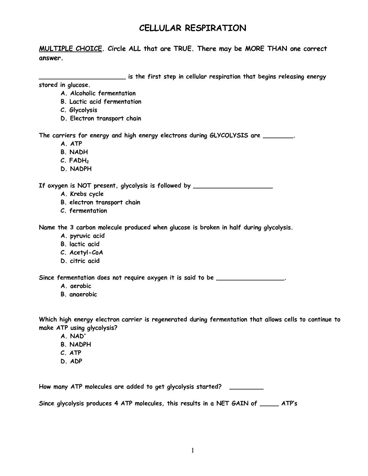 14-best-images-of-photosynthesis-worksheets-with-answer-key