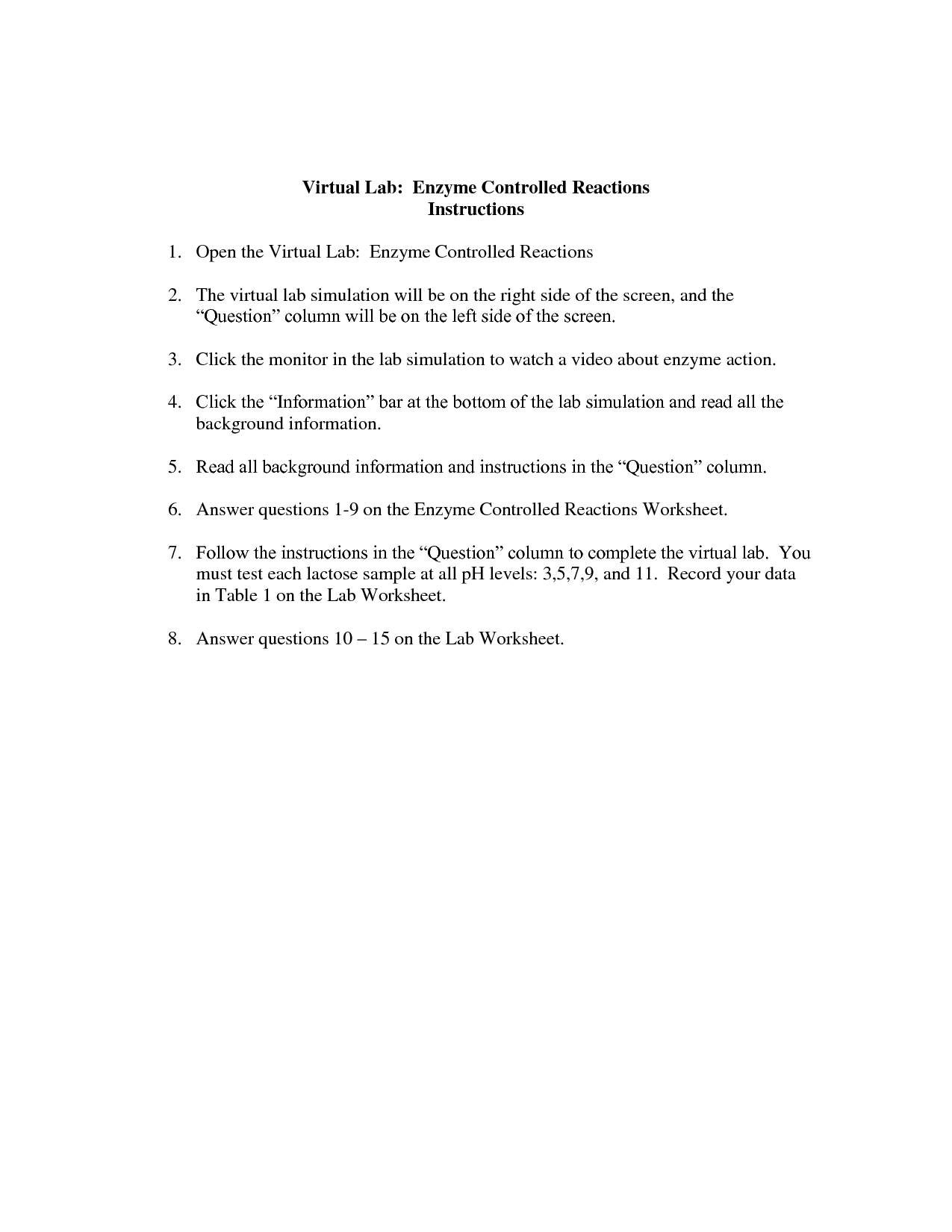 Enzyme Reactions Worksheet Answer Key