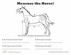 Horse Worksheets Printable