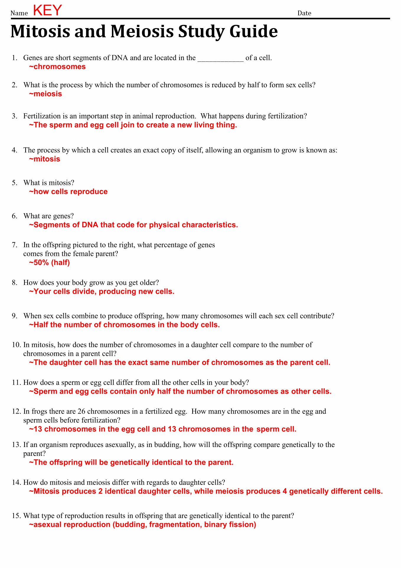13 Best Images of The Cell Cycle Worksheet Study Guide Cell Cycle