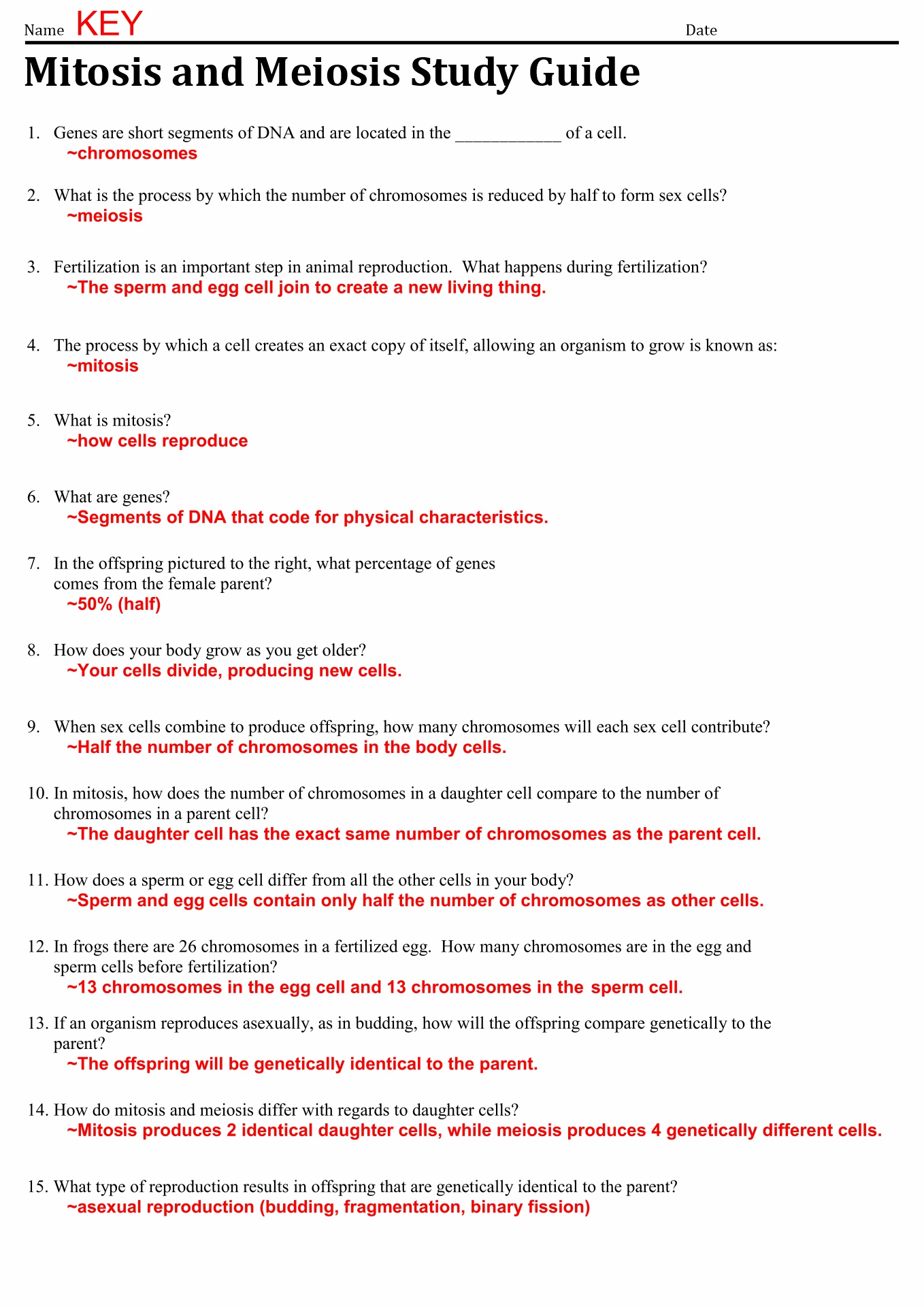 13 Best Images of The Cell Cycle Worksheet Study Guide - Cell Cycle