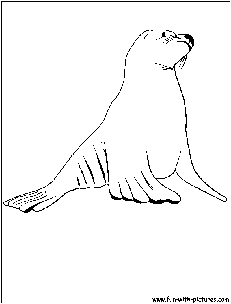 Sea Lion Coloring Pages