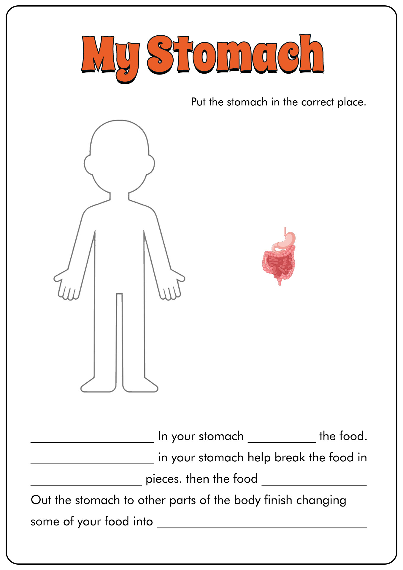 14 Best Images of Urinary System Worksheets Blank