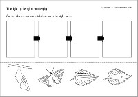 Life Cycle of a Butterfly Worksheet Cut Paste