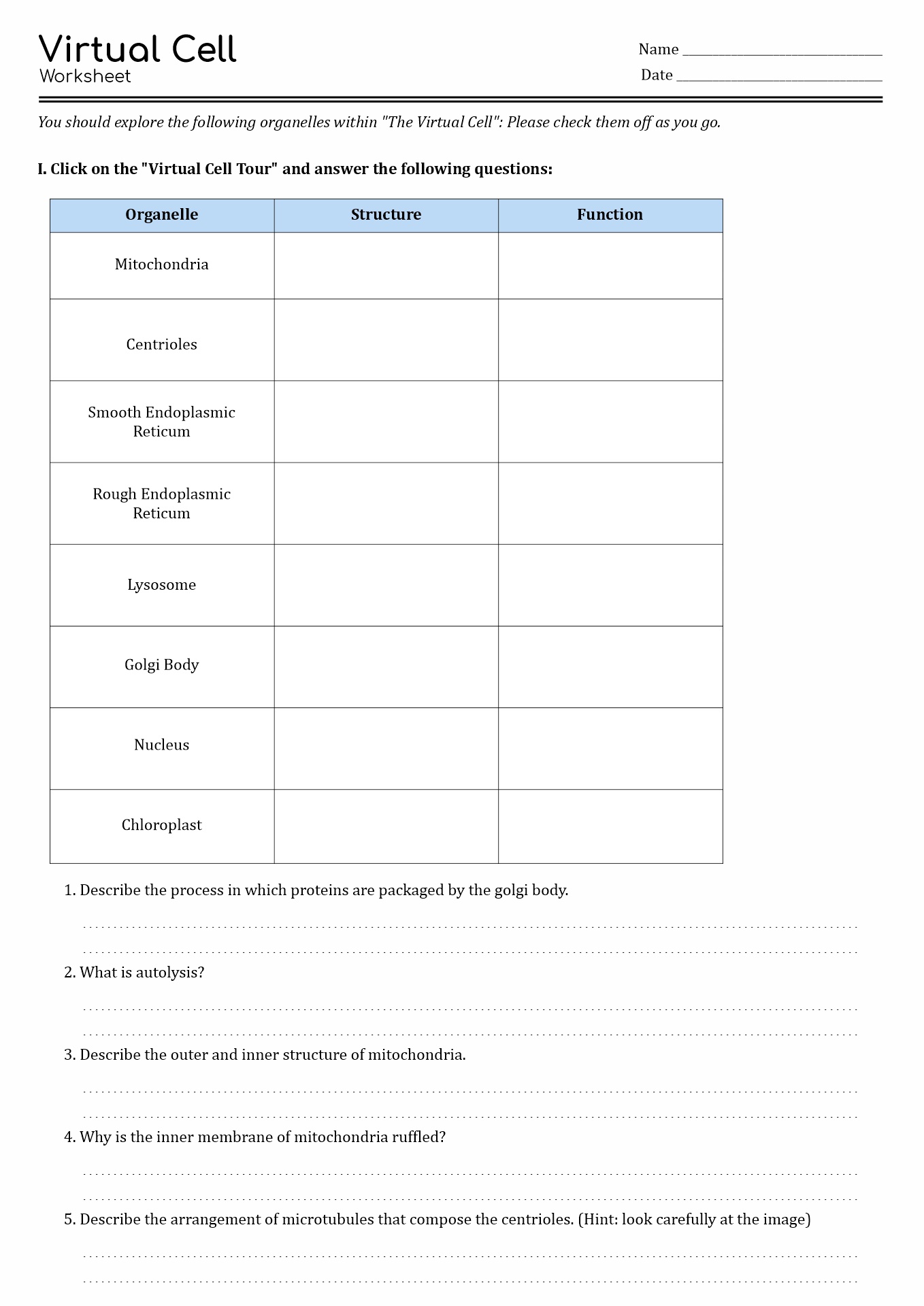 13 Best Images of The Cell Cycle Worksheet Study Guide Cell Cycle Worksheet Answers, Cell 13 Best Images of The Cell Cycle Worksheet Study Guide Cell Cycle Worksheet Answers, Cell