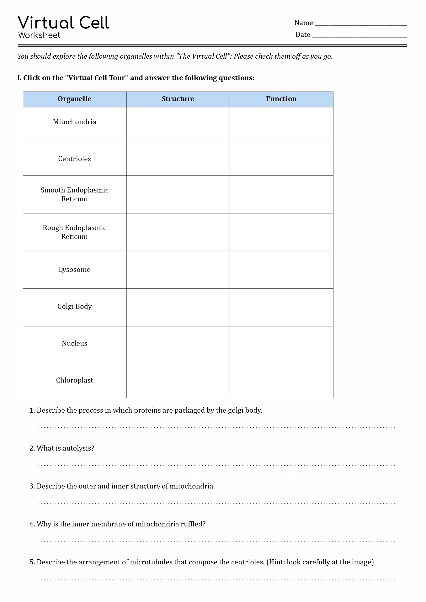 cell-cycle-worksheet-answer-key