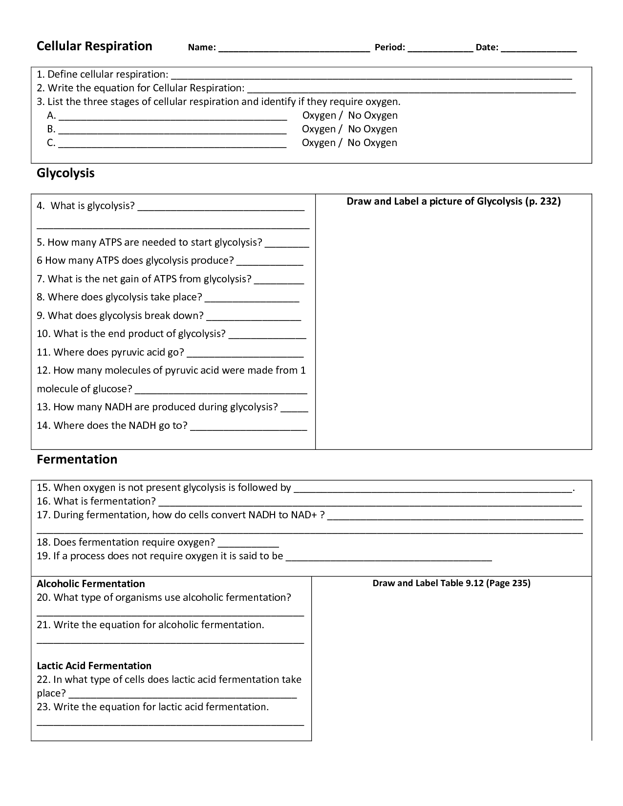 Respiratory System Worksheet Answer Key