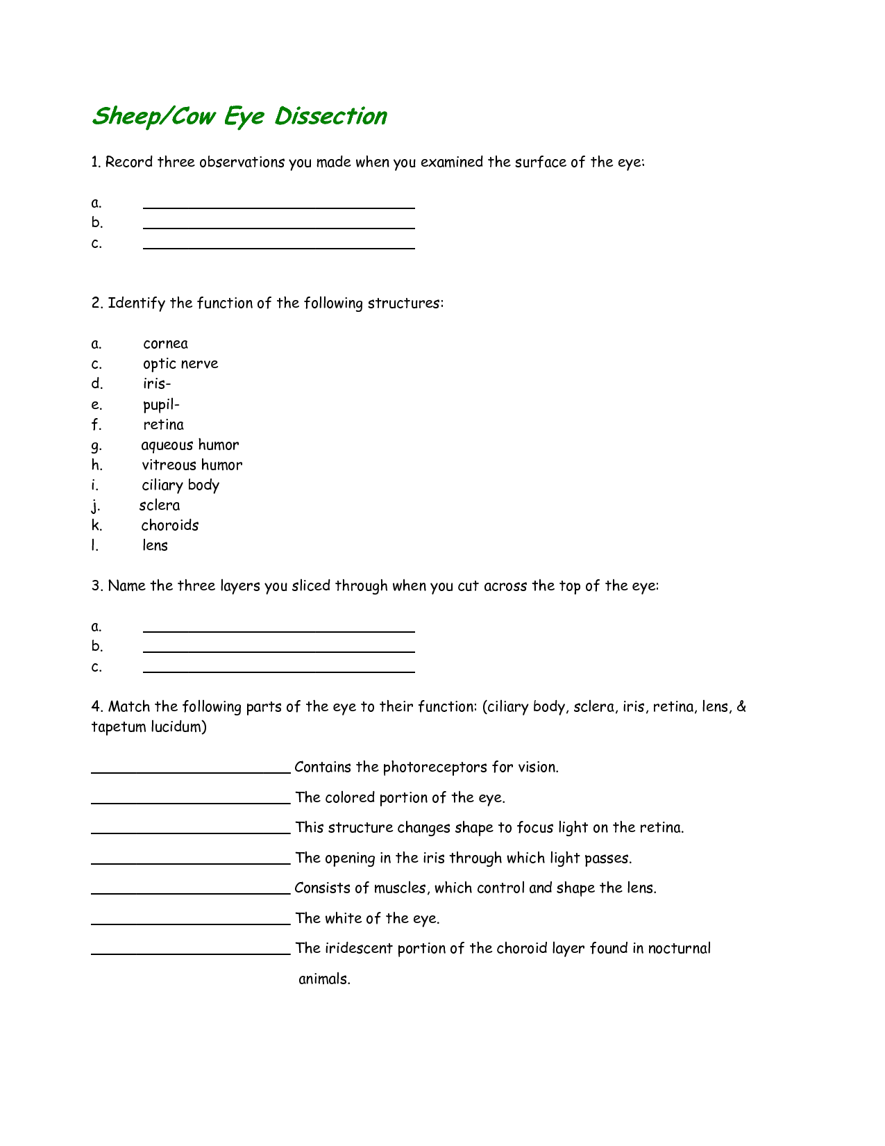 11-best-images-of-parts-of-a-cow-worksheet-digestive-system-label-worksheet-dog-brain-anatomy