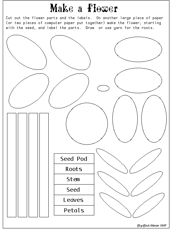 Cut and Paste Flower Parts Worksheet