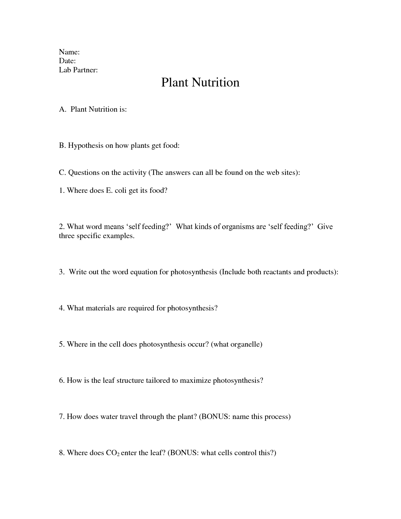 Nutrition Activity Worksheets