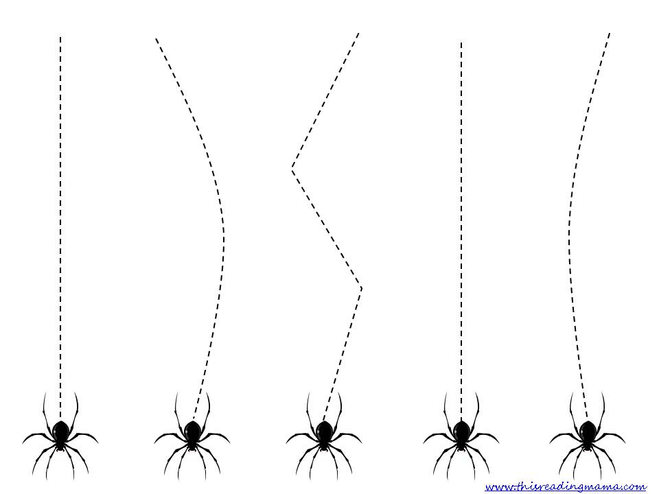 8 Best Images of Spider Worksheets For Kindergarten - Preschool Spider