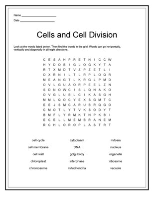 12 Best Images of Cell Division Worksheet - Mitosis Notes Worksheet