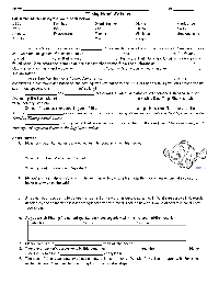 Finding Nemo Worksheet Answers