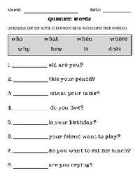 Wh-Questions Worksheet