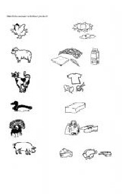 Worksheet Farm Animals and Their Products