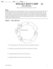 Cell Cycle POGIL Biology Answer Key