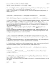 17 Best Images of DNA And Replication POGIL Worksheet Answes - DNA