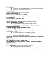 DNA Structure and Replication Worksheet POGIL Answers