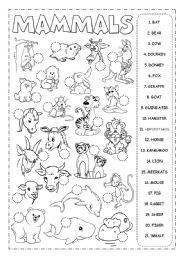 14 Best Images of Mammal Worksheets For Kindergarten - Printable Mammal