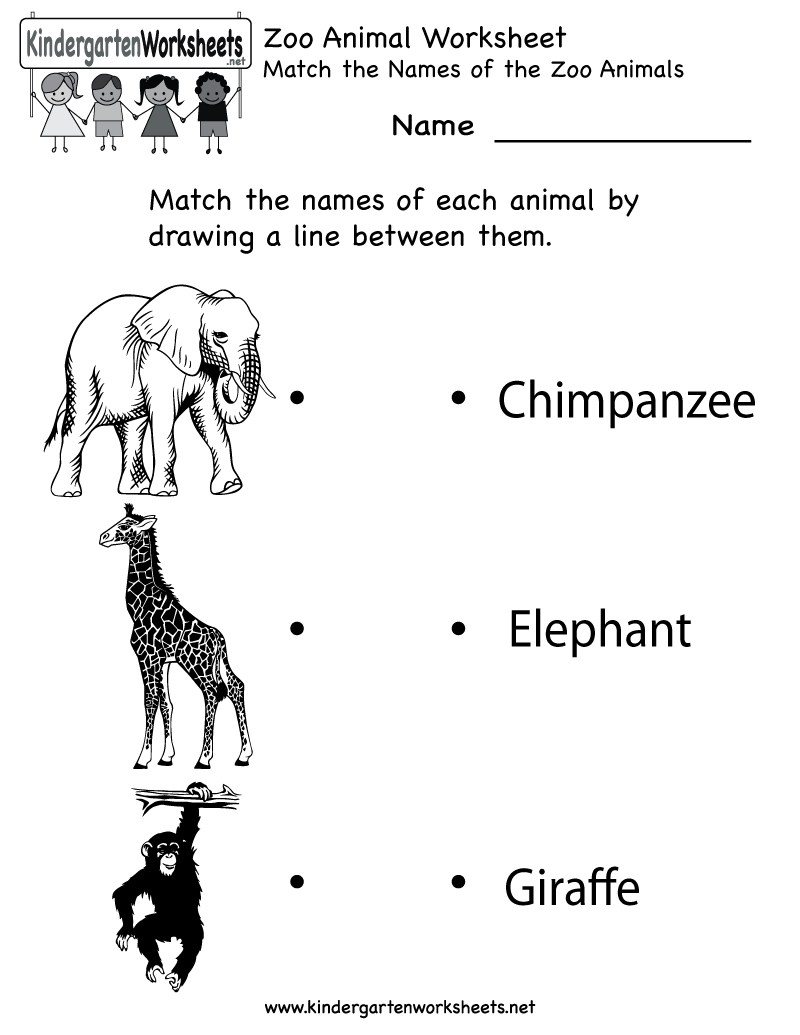 14 Best Images of Mammal Worksheets For Kindergarten - Printable Mammal