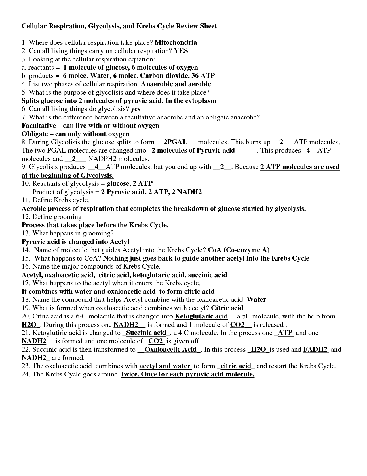 16 Best Images of Krebs Cycle Worksheets - Blank Krebs Cycle Worksheets
