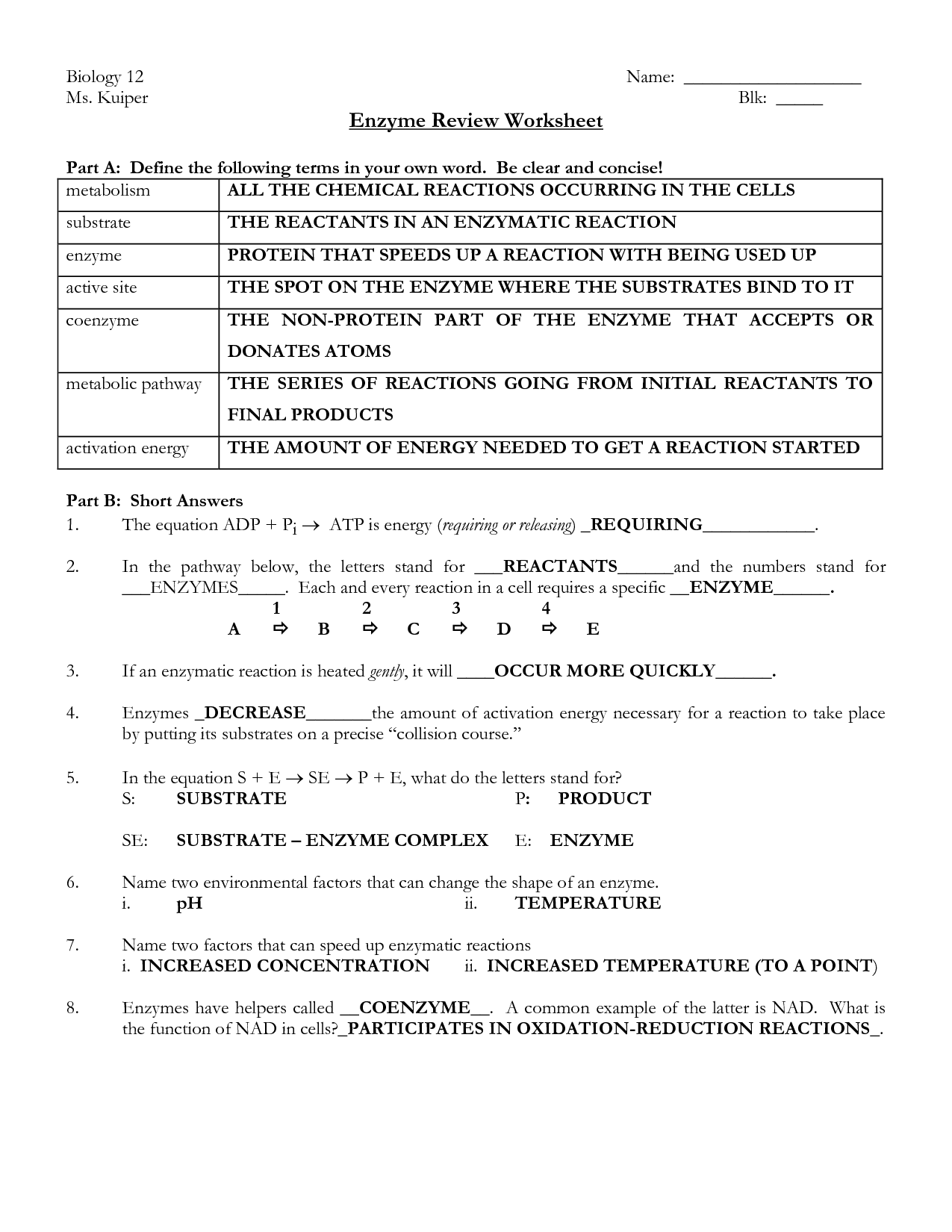 Enzymes Worksheet Answer Key