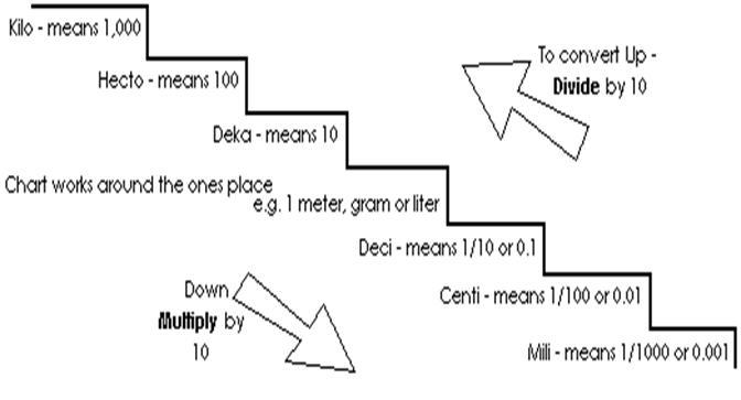 Metric System Conversion Chart for Grams