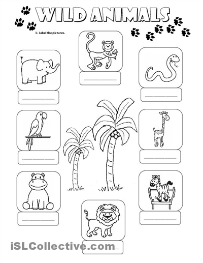 Wild Animal Worksheets Kindergarten