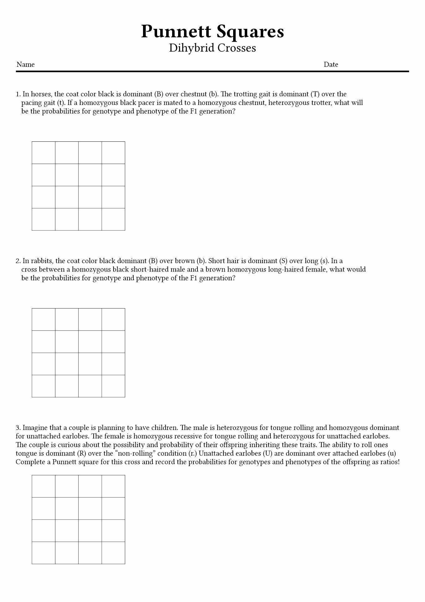 15 Best Images of Punnett Square Worksheet Answer Key 